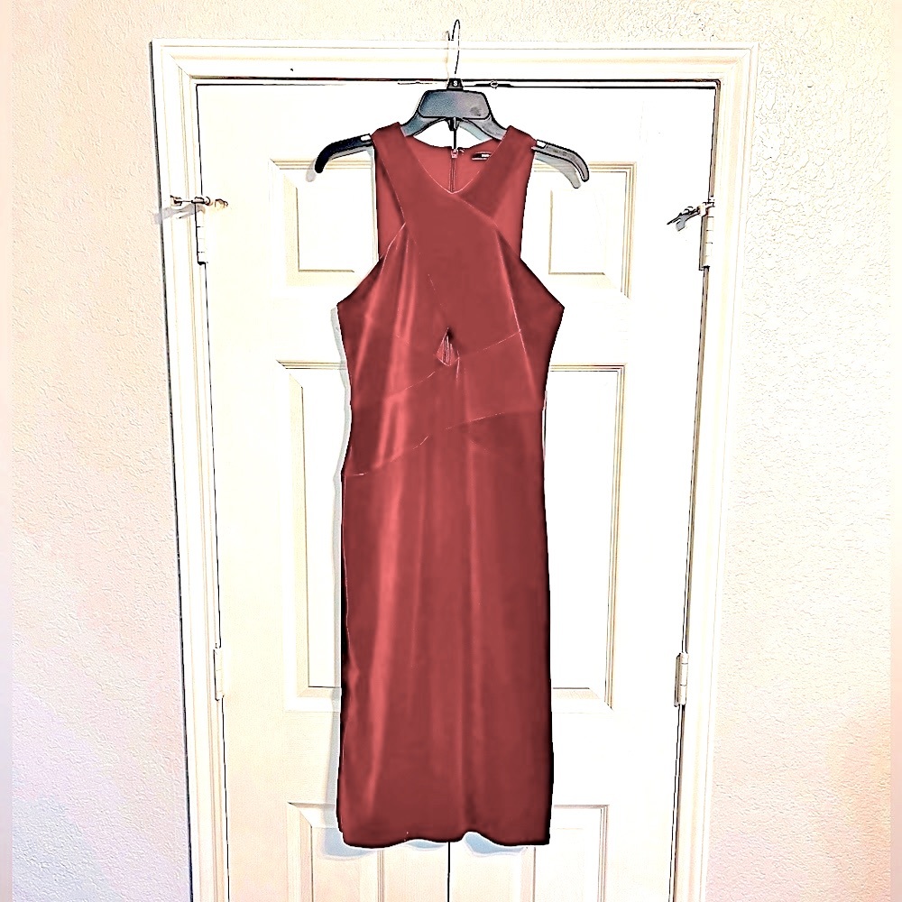 BCBG Burgundy Velvet Cocktail Dress